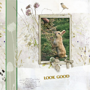 Look Good
