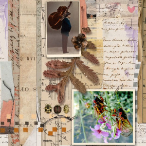 Rachel Jefferies - June Designer MM Challenge