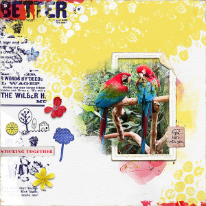 Scarlet Macaws