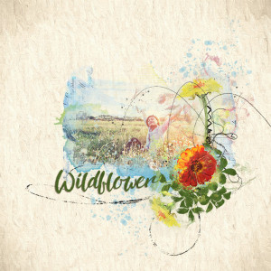 SOSN_jun5_NBK_Wildflower