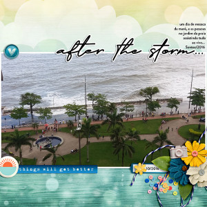 After the storm