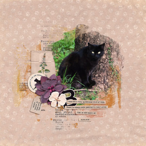 BELLA - MYSTERIOUS