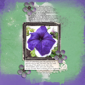 Petunias