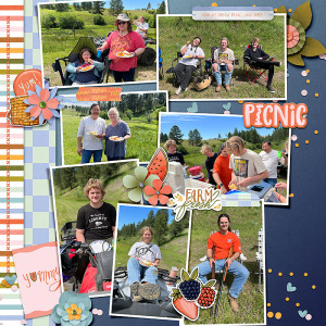 Summer-picnic