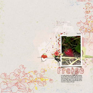 20240609-Fraise