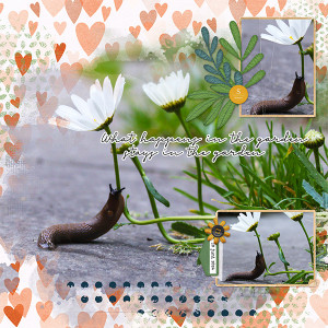 Dances With Flowers
