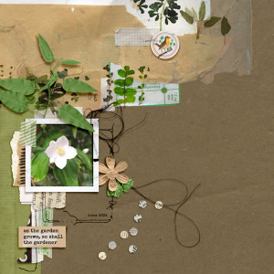 Rachel's Mixed Media Challenge - June 2024
