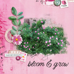 Lynn Grieveson Designs June Featured Products Challenge