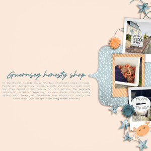 Guernsey Honesty Shop