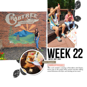 Week 22 {left}