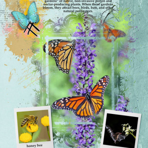 National-Pollinators-Month