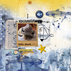 230414_shark