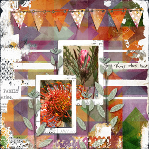 LGrievesonFeaturedProducts_JuneChallenge_janisn