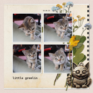 230416_gremlin