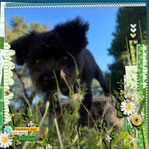 2024JUN_ Challenge_ Photo