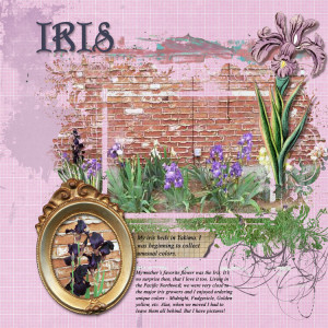 Iris