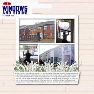 Windows and Siding