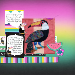 240602_toucan