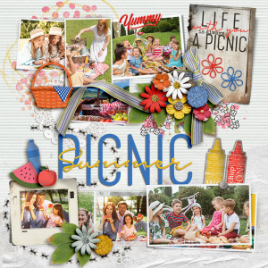 SOSN_jul10_ngd_NBK_Summer Picnic