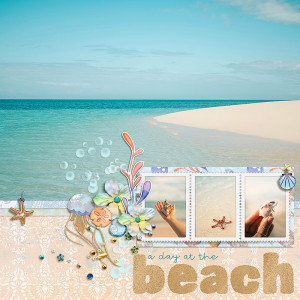 Day At The Beach