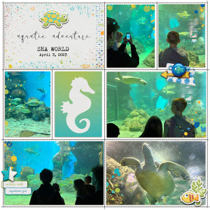 aquatic adventure