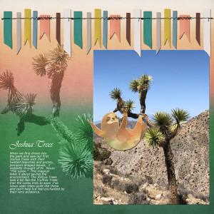 Wk2_AJ_July_Tree Magic_janisn