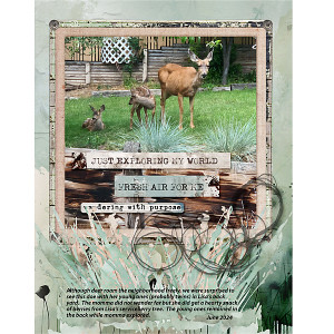 Backyard-Deer_flowersgal_sq_web