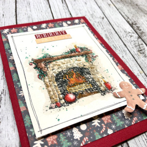 Christmas card 4 -hybrid close up