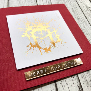 Christmas card 3 - hybrid close up