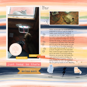 240607_cats Forward