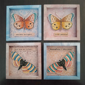Specimen Boxes
