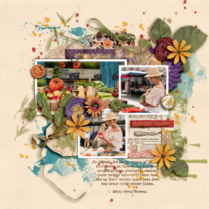 SOSN_jul31_AWA_SwL_Farmer's Market