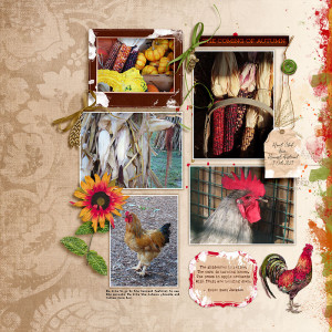 HCF (Hunt Club Farms)