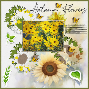 Autumn Flowers