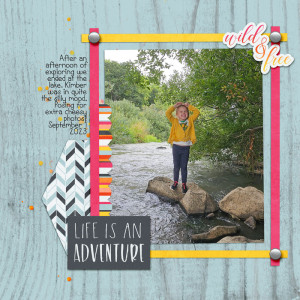 Wild Adventure