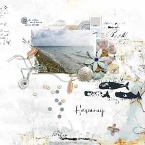 Rachel's Mixed Media Challenge - July 2024