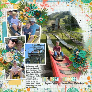 Alpine Slide Jackson
