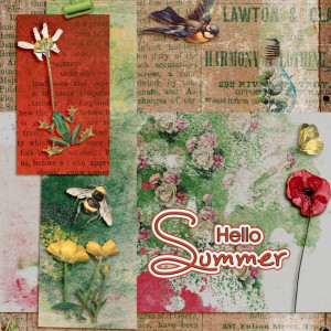 Hello Summe