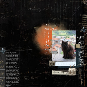 240613_Biasca Cat
