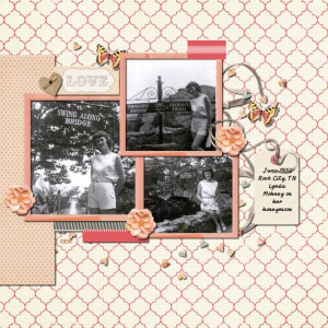 Lilypad Challenges - 2024 08 Template Challenge