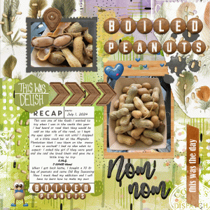 Boiled Peanuts