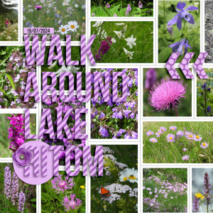 249719_ritom Purple