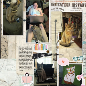 240806_cats Work