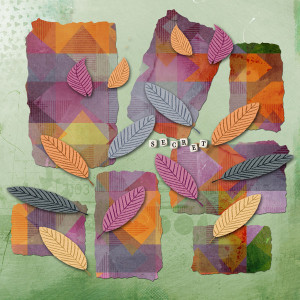 Wk1_rectanglesleaves_Aug_janisn
