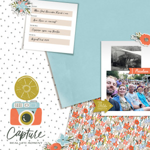 Capture