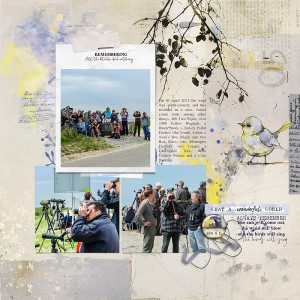 24-08_bird watching