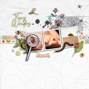 Tiny Wonders