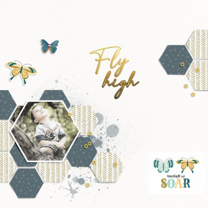 Fly High