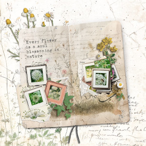 24-08_AWA_oldworldsketchbook