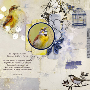 The singing bird